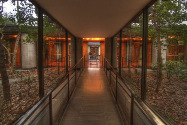 This image shows a covered walkway with glass walls surrounded by trees. Warm light emanates from the interior, contrasting with the twilight setting outside.