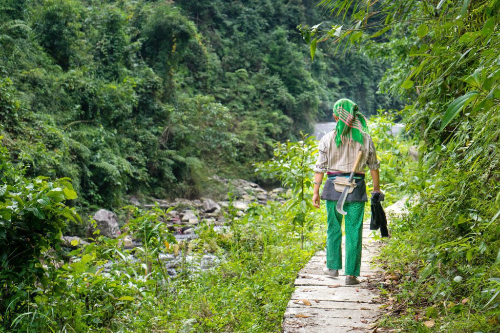 A person walks on a narrow stone path in a lush green forest, by a stream, dressed in green clothes, with a headscarf and carrying a bag.