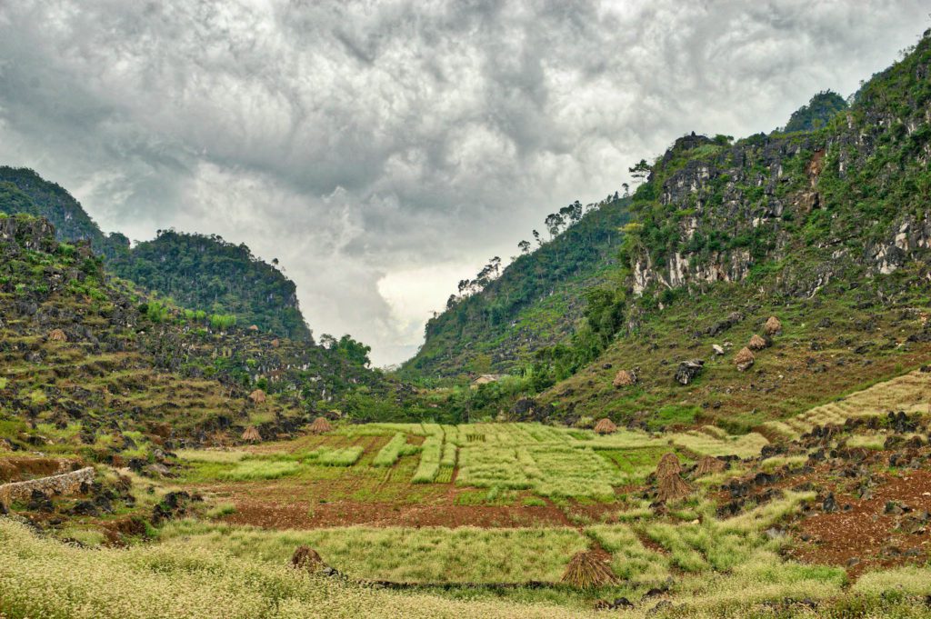The image features a rural landscape with lush green terraced fields nestled between rocky hills under a cloudy sky, suggesting an agricultural valley.