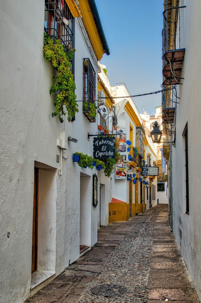 A narrow, cobblestoned street lined with white buildings adorned with green plants. Colorful signs add charm to this picturesque European alley.