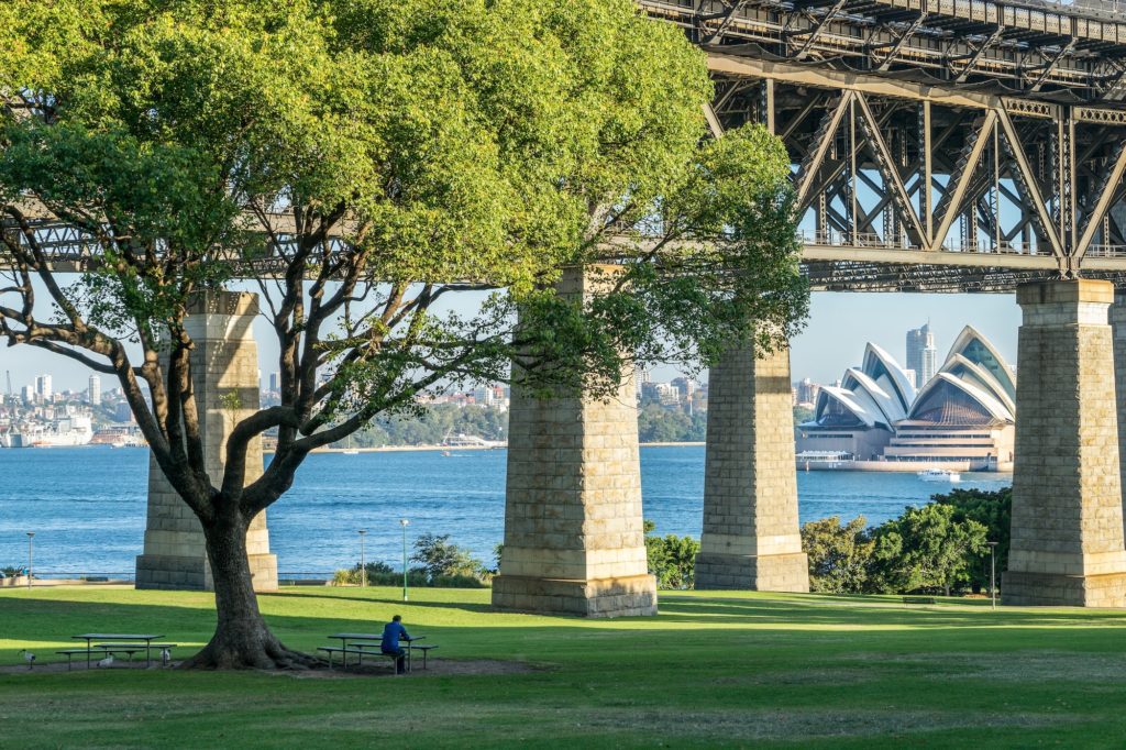The image shows a person sitting under a large tree in a park with views of the Sydney Opera House and Harbour Bridge in Australia.