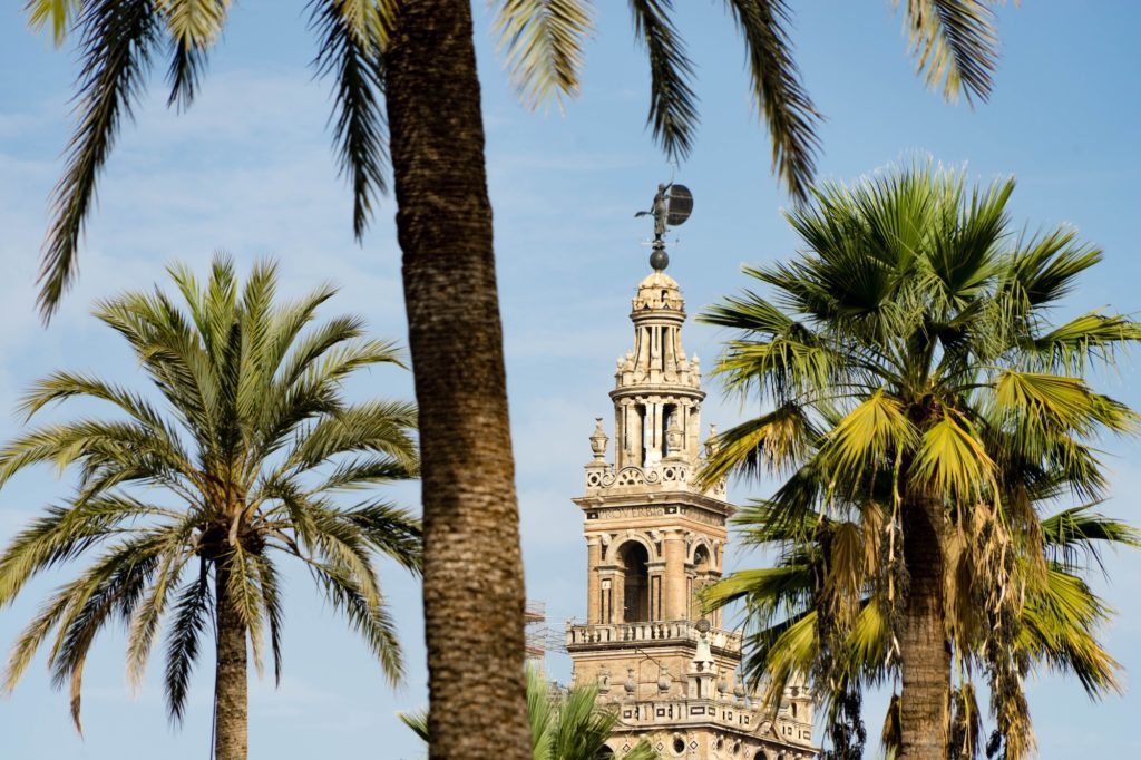 An ornate tower emerges behind lush palm trees under a clear blue sky, showcasing architectural details and a weathervane atop its spire.