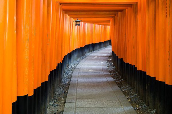 A serene pathway flanked by vibrant orange torii gates creates a striking contrast with the stone pavement. The tranquility suggests a spiritual or cultural site.