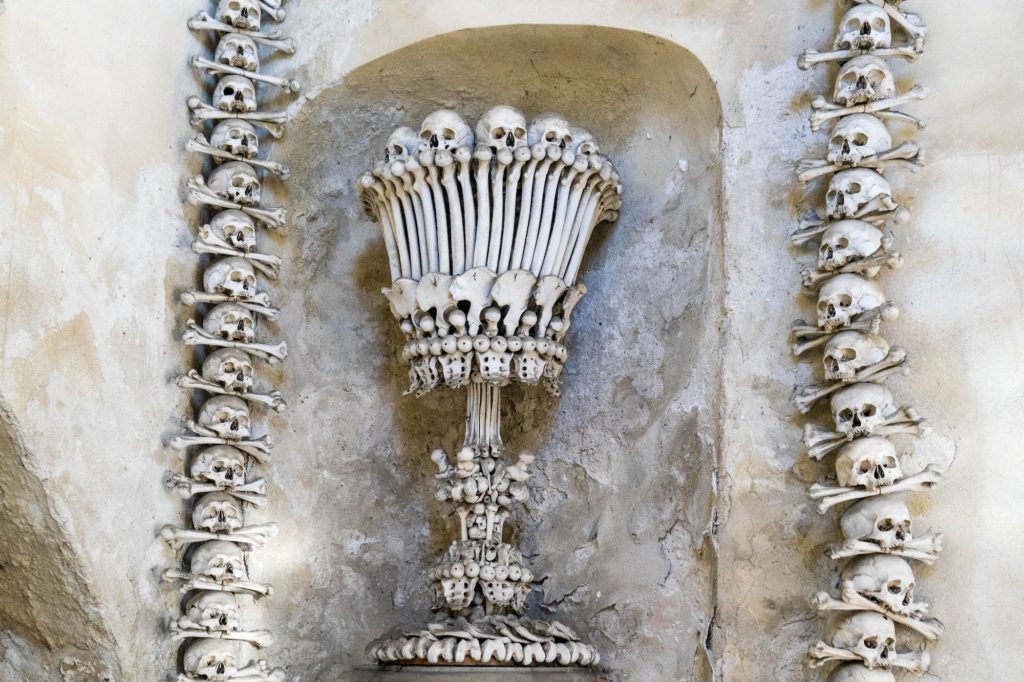 This image shows an artistic arrangement of human skulls and bones on a wall, creating a symmetrical design around a central chalice-like structure.
