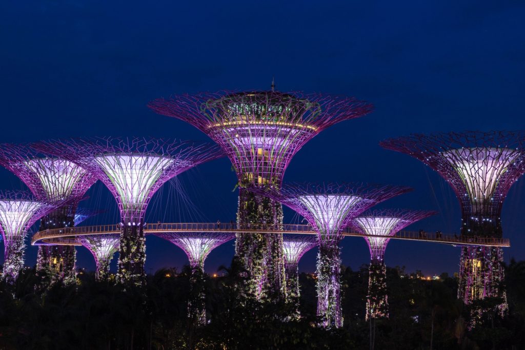 This image shows illuminated, tree-like structures connected by a skywalk amidst foliage against a dusk sky—possibly part of a futuristic garden or park.