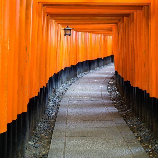 A pathway flanked by vibrant orange torii gates creates a striking tunnel effect, leading into the distance under a series of traditional lanterns.