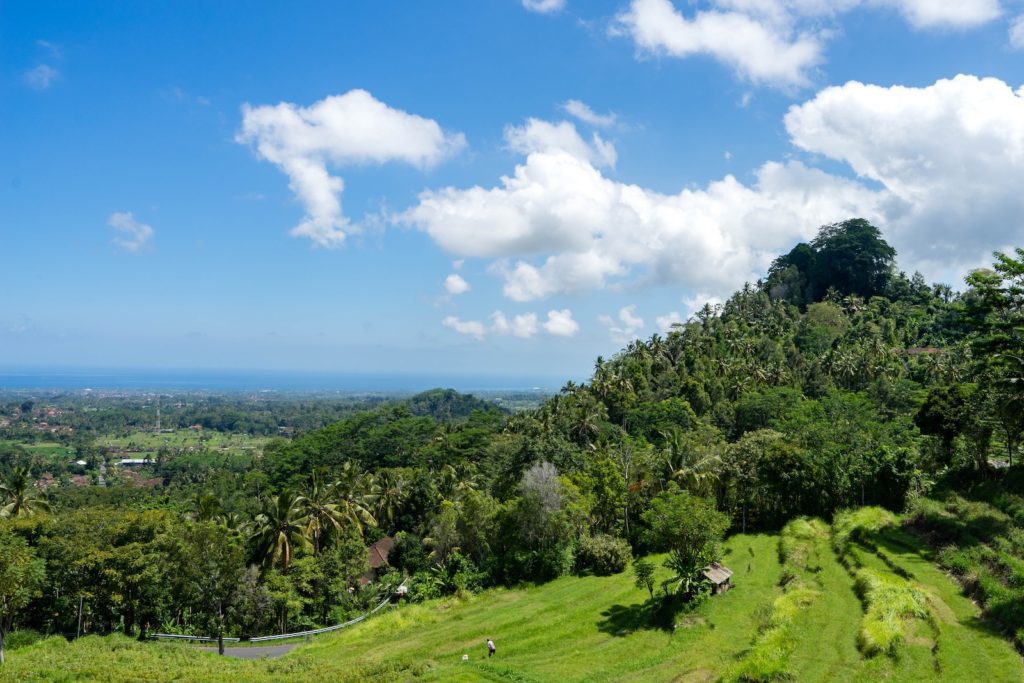 This image features terraced green fields on a hillside, lush tropical vegetation, a blue sky with clouds, and a distant view of the sea.