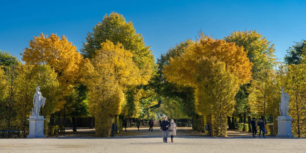 A tree-lined pathway in autumn with golden leaves, statues on either side, and a clear blue sky. People are leisurely walking and enjoying the scenery.