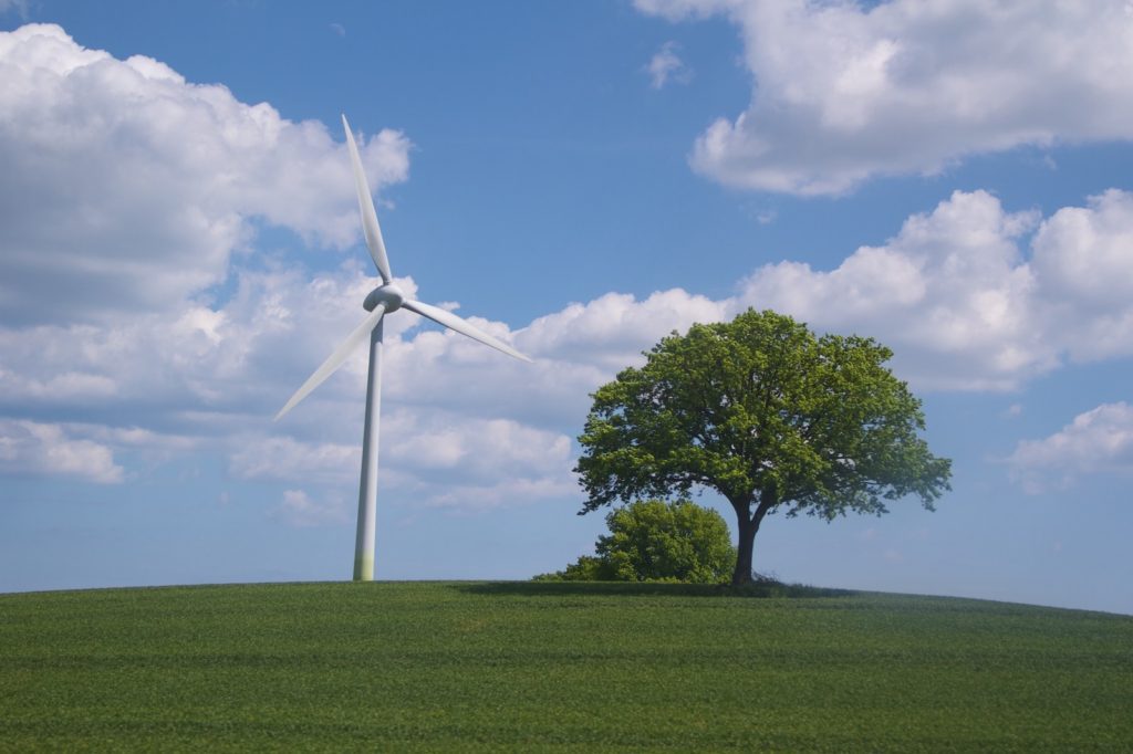 A single wind turbine towers over a lush, green hillside next to a robust, solitary tree under a clear blue sky with scattered clouds.