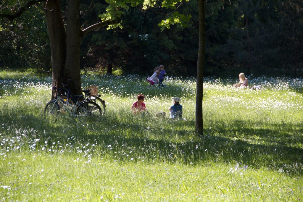 A bicycle leans against a tree in a sunny, flower-dotted park where people relax and children play, surrounded by shades of green and calmness.