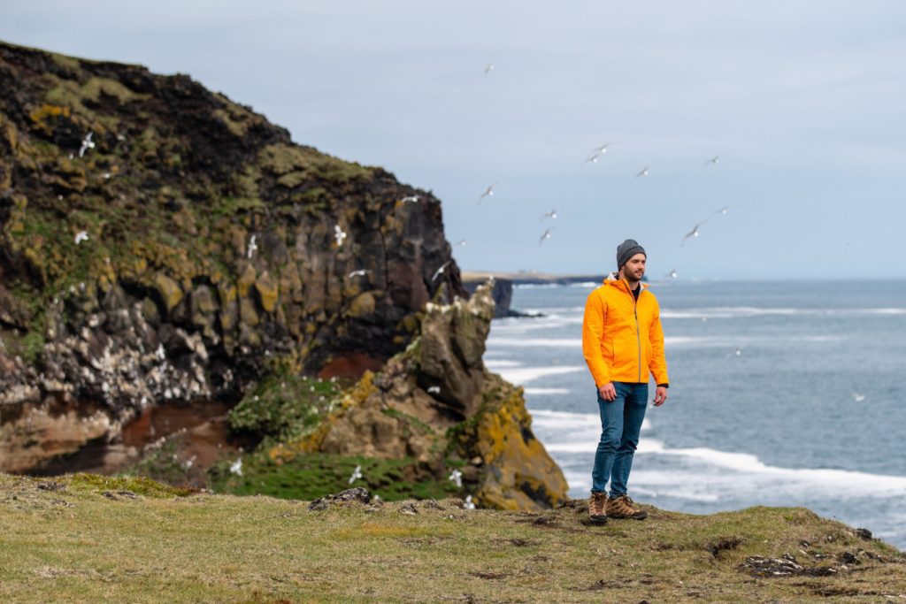 A person in a bright orange jacket stands on coastal grass, looking into the distance. Cliffs, seabirds, and waves create a serene, natural background.
