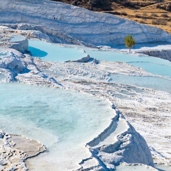 This image features terraced mineral pools with turquoise water in a white calcite landscape, likely the travertine terraces of Pamukkale, Turkey, with a lone tree.