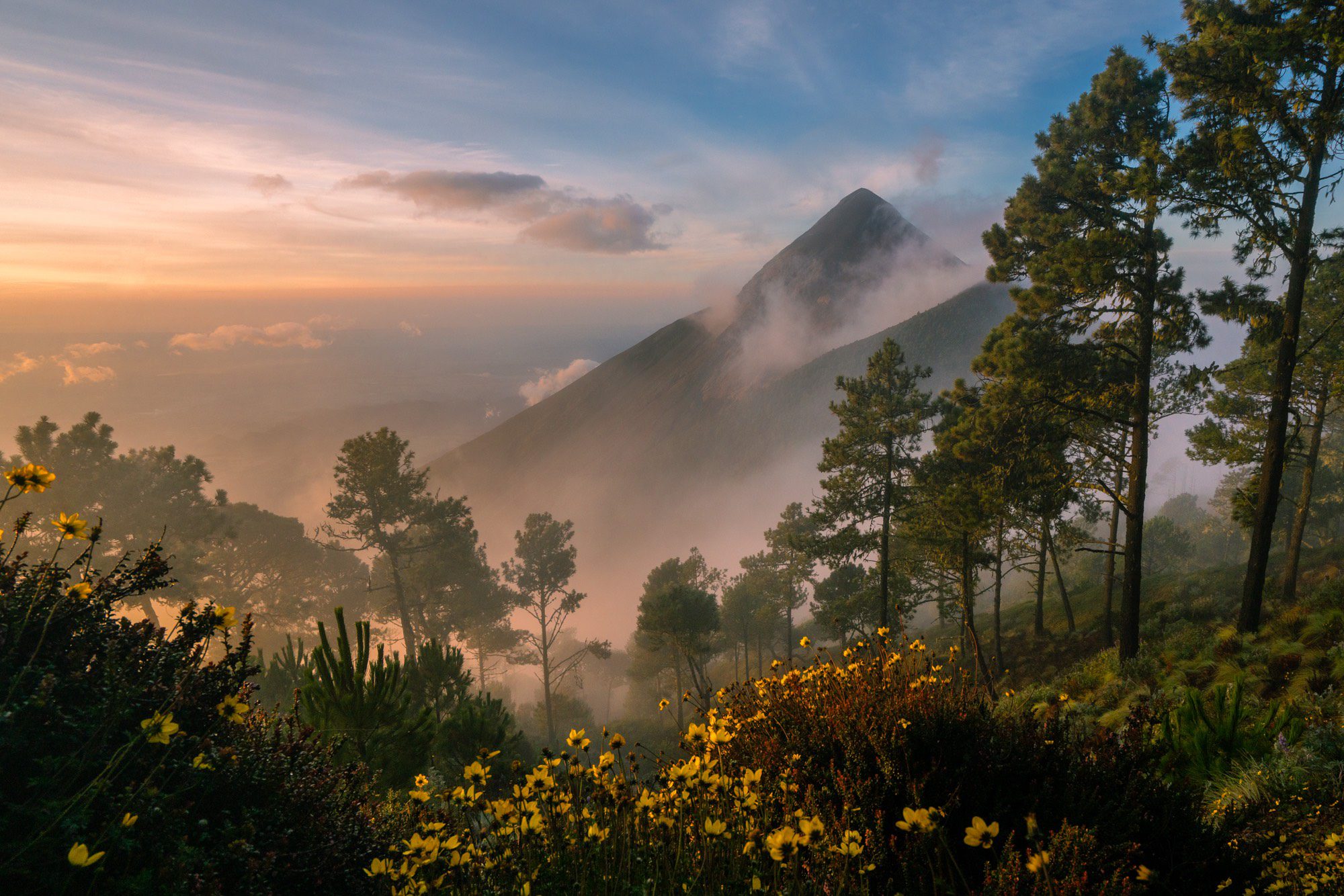 A tranquil landscape at sunrise or sunset with a prominent mountain peak, surrounded by forests, mist, and foreground yellow wildflowers.
