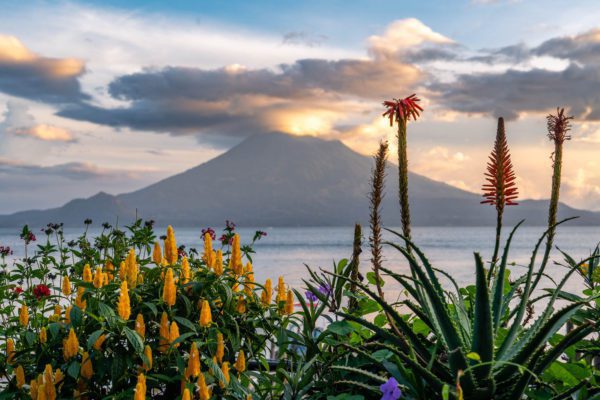 This image depicts a serene lakeside scene with colorful flowers in the foreground and a majestic volcano shrouded in clouds in the backdrop at sunset.
