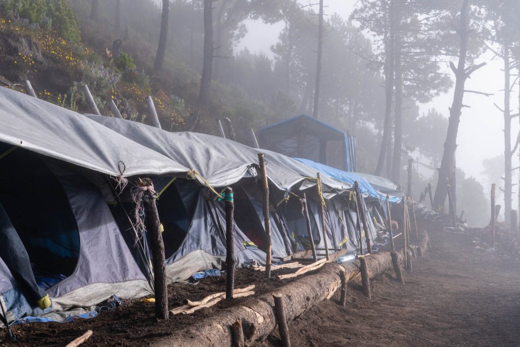 A row of tents is set up in a foggy forest, with mist enshrouding the trees, creating a mysterious and serene camping atmosphere.