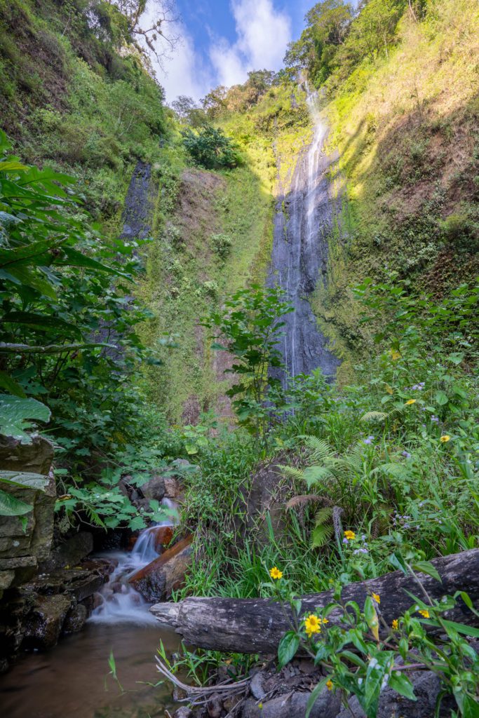 A slender waterfall cascades down a mossy cliff surrounded by lush vegetation, with a small stream flowing over rocks in a tranquil forest setting.