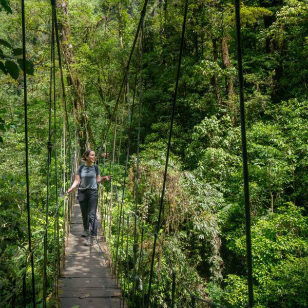 A person is crossing a narrow suspension bridge surrounded by lush greenery in a dense forest, with sunlight filtering through the canopy overhead.