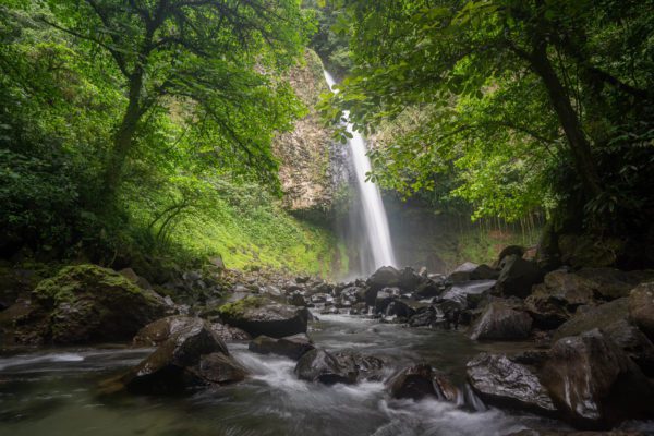 A serene waterfall cascades into a rocky stream surrounded by lush greenery, creating a misty atmosphere in a tranquil, forested environment.