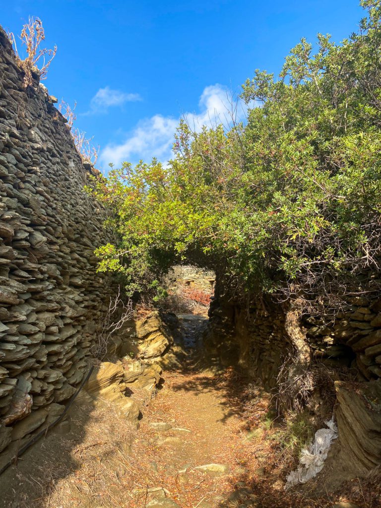 A narrow pathway flanked by dry-stone walls, overgrown with shrubby greenery under a blue sky with wispy clouds, suggesting a tranquil, natural setting.
