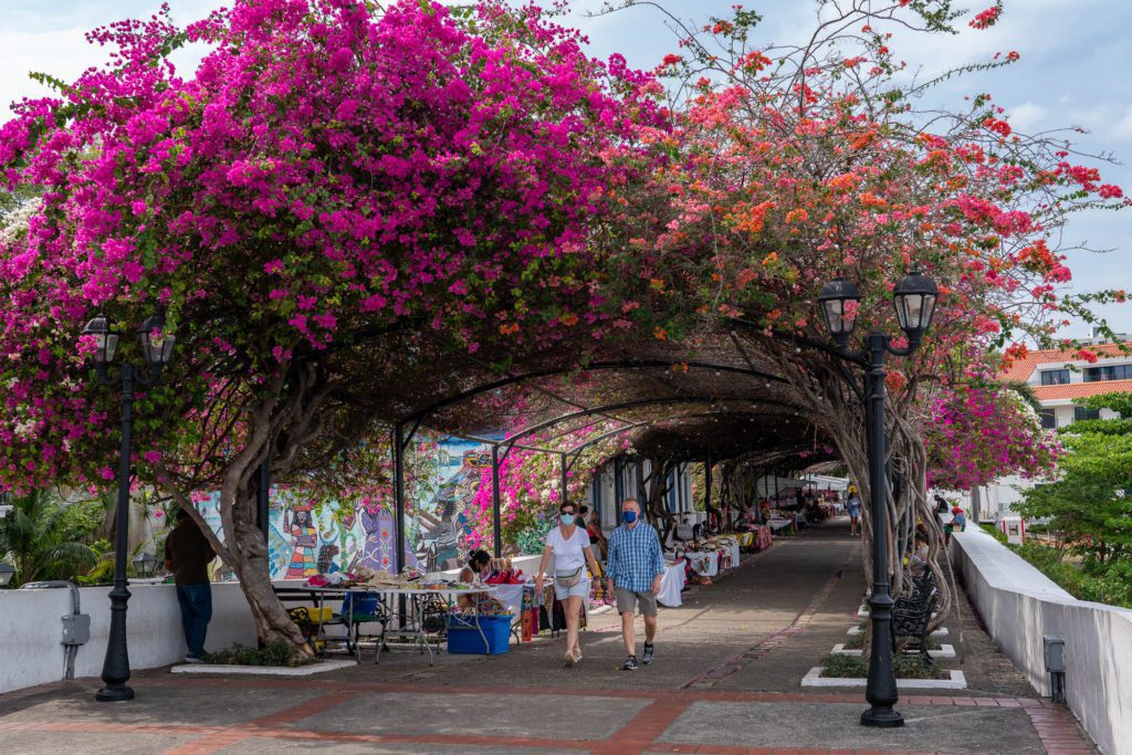 A picturesque outdoor market under a vibrant bougainvillea archway. People browse goods beside street lamps, with a clear sky above and buildings in the background.