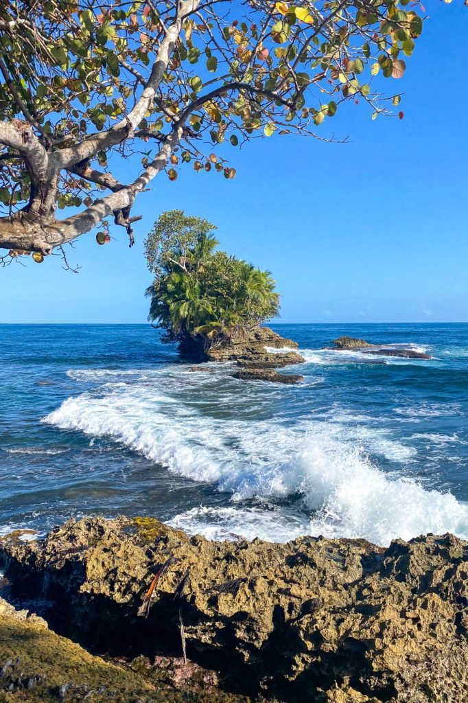 A picturesque seascape with waves crashing onto rocky shores, a small tree-covered islet nearby, under a blue sky, framed by overhanging tree branches.