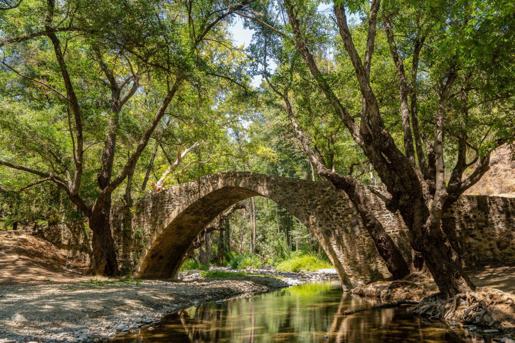 An ancient stone bridge arches gracefully over a tranquil river, flanked by lush, green trees in a serene forest setting, reflecting in the water below.