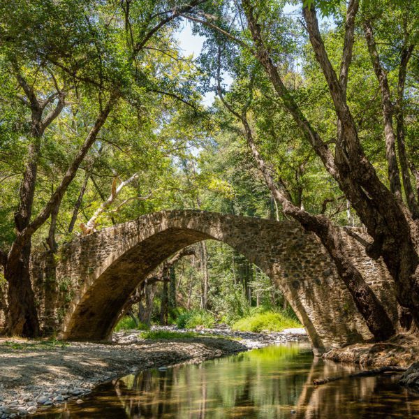 An ancient stone bridge arches gracefully over a tranquil river, flanked by lush, green trees in a serene forest setting, reflecting in the water below.