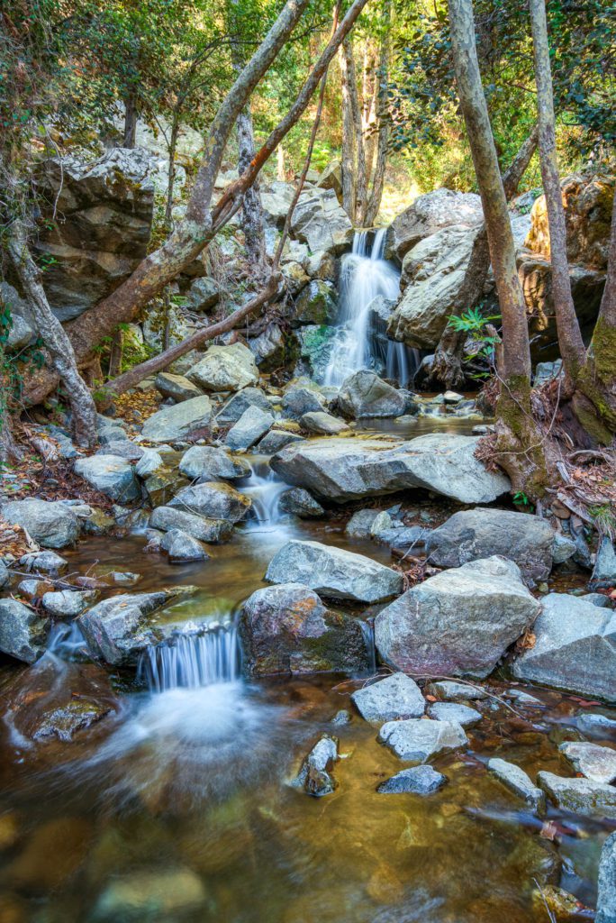 A serene forest scene with a small waterfall cascading over rocks. Surrounded by trees and foliage, the water flows through a rocky creek bed.
