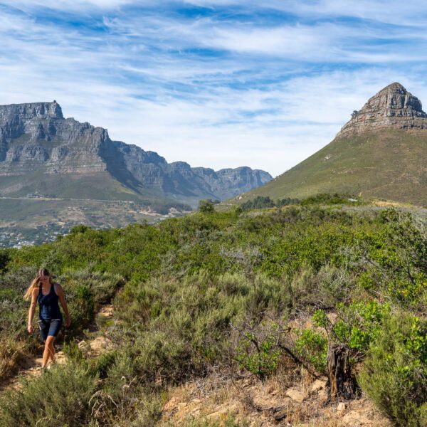 A person hikes on a trail amidst lush greenery with majestic mountains in the background under a clear blue sky.