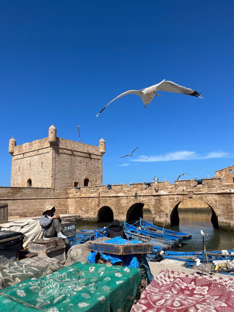 A person sits by traditional blue boats moored in a harbor with an old stone fort and bridge under a clear blue sky, seagulls flying overhead.