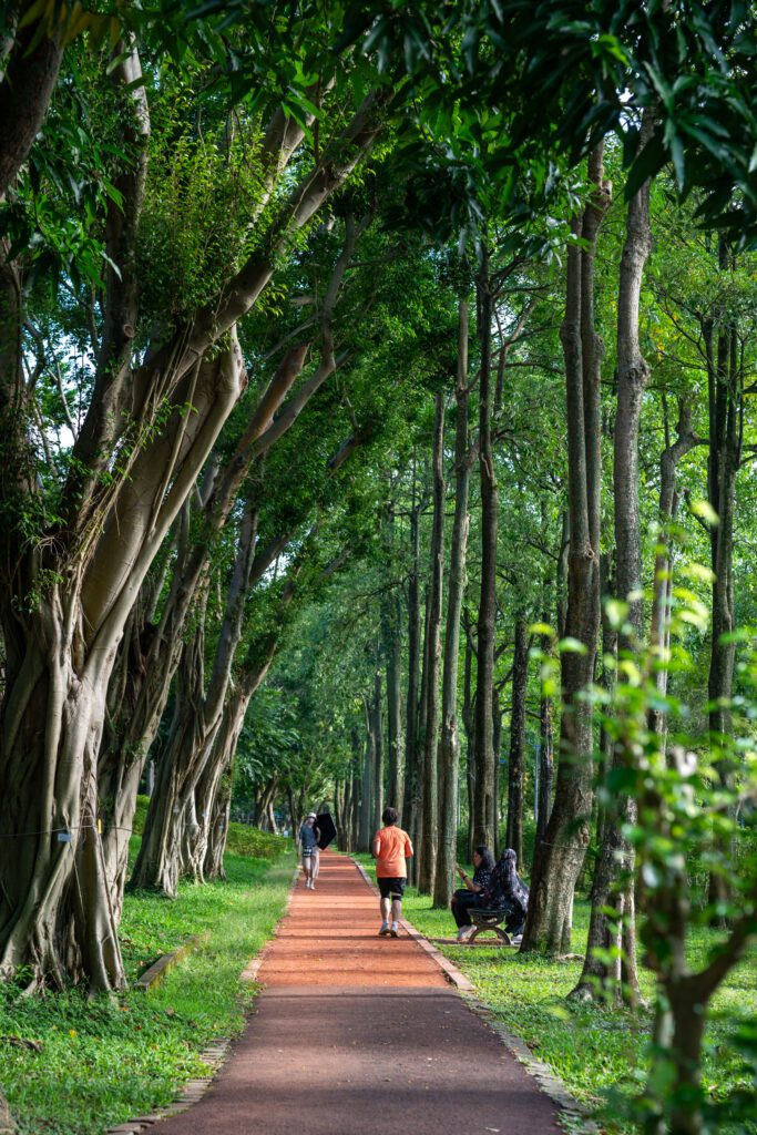 A tree-lined path with people walking and sitting on benches, surrounded by lush greenery in a tranquil park setting.